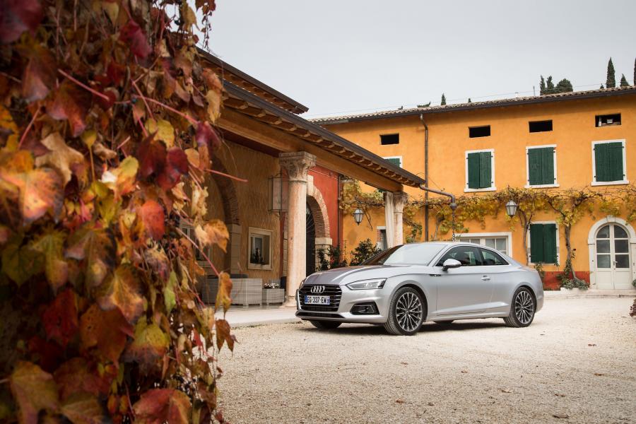  Audi A5 Coupe 2.0 TFSI Quattro 2016 года  (WW) (фото 30 из 30)